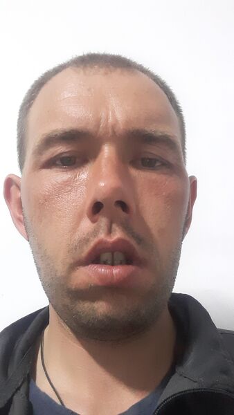  -,   Pups, 31 ,   ,   