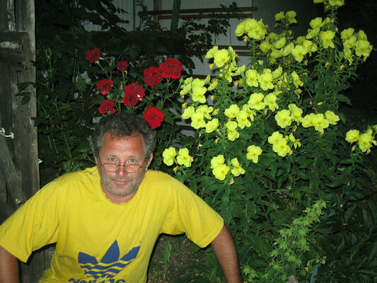  ,   , 55 ,   ,   