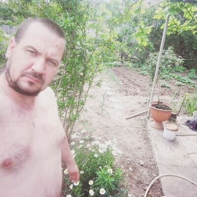  ,   , 41 ,   