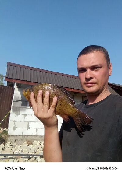  ,   , 33 ,     , c 