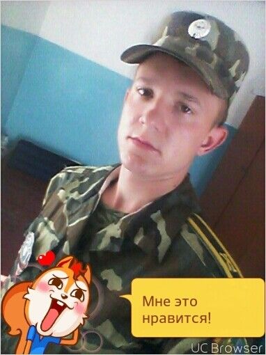  8566597  , 29 ,    