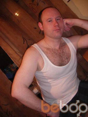  3197267  , 50 ,    -