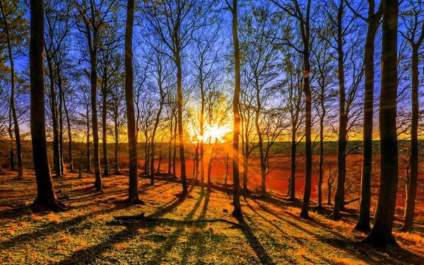  ,   Gennadij, 46 ,   ,   , c 