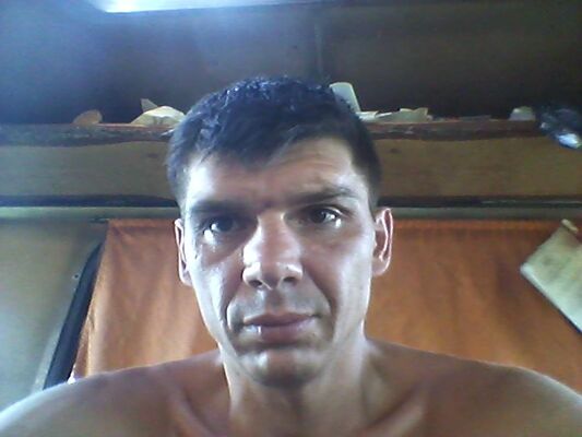   ,   , 49 ,   