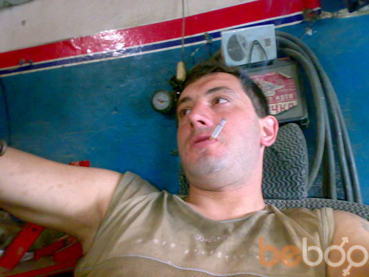  ,   WOLF, 44 ,   