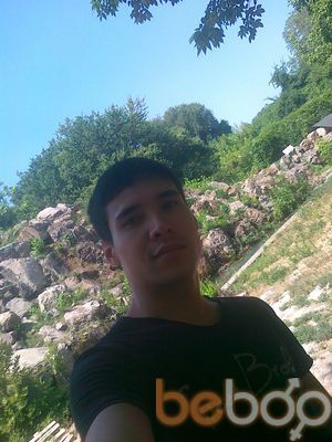  3908797  , 36 ,    