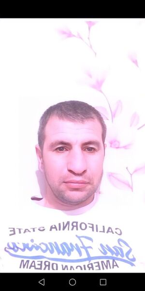  ,   ZURA , 43 ,   ,   , c , 