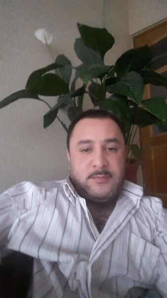  -,   , 53 ,   ,   , c 