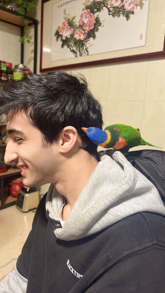 ,   MEHROJIDDIN, 25 ,   ,   , c , 