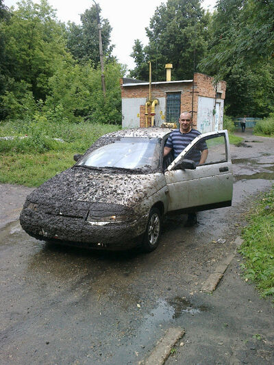  ,   Palych, 45 ,   ,   , c 
