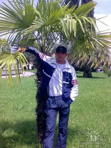  ,    , 31 ,   ,   , c , 
