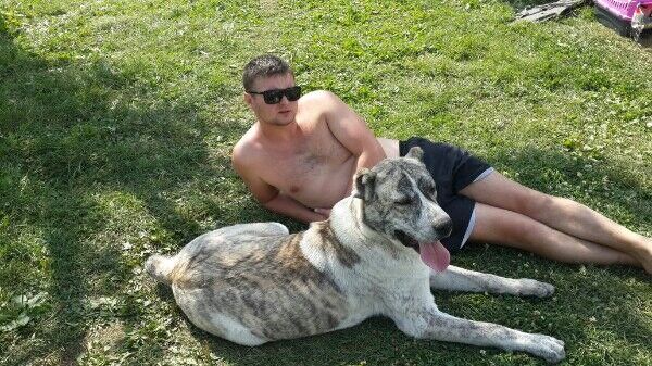 ���������� ����������, ���� ������� ����, 37 ���, ������������ ��� ������, ����� � ���������, c�������� ���������, ���������