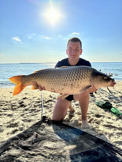  ,   Andrew, 28 ,   ,   