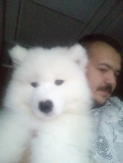  ,    , 32 ,   ,   