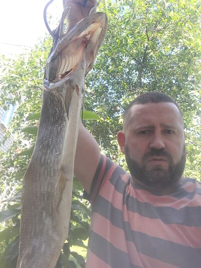  ,   , 41 ,   ,   