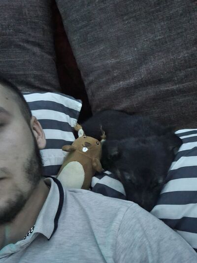  -,   , 26 ,   ,   , c , 