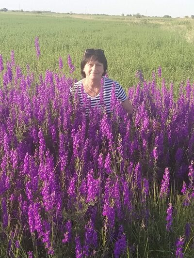  ,   , 62 ,   ,   