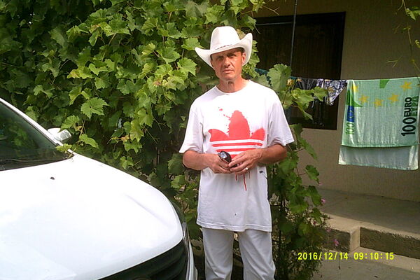  ,   , 55 ,  