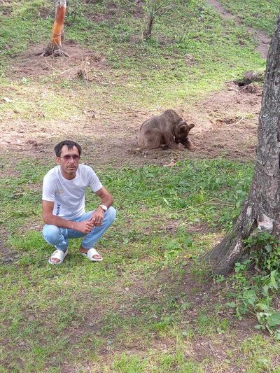  ,   , 36 ,   ,   , 