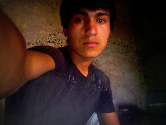  ,   , 33 ,   