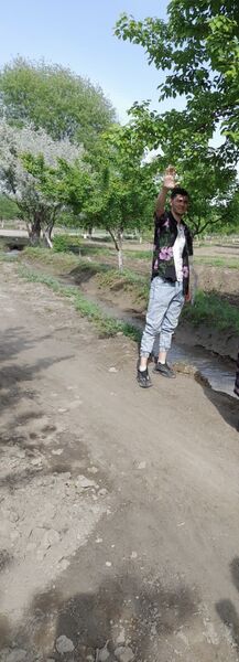  ,   Han, 30 ,   ,   