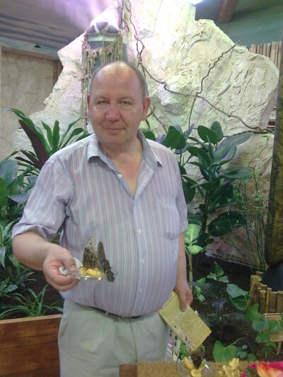  ,   , 60 ,   ,   , 