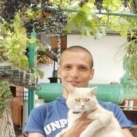  -,   , 41 ,   ,   , c 