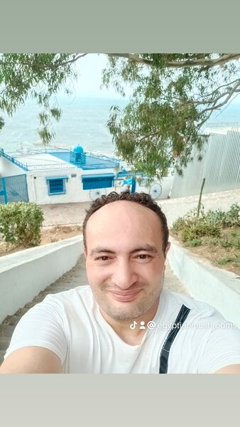  ,   Ahmed, 39 ,   ,   