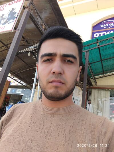 ,   Shavkat, 31 ,   ,   , c 