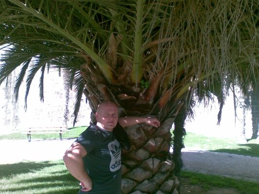  ,   , 45 ,   ,   , c , 