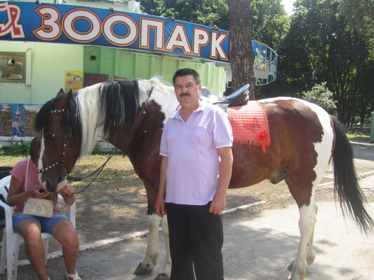  ,   , 65 ,  
