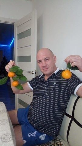  --,   , 44 ,   ,   , c 