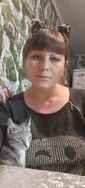  ,   , 41 ,     , c , 