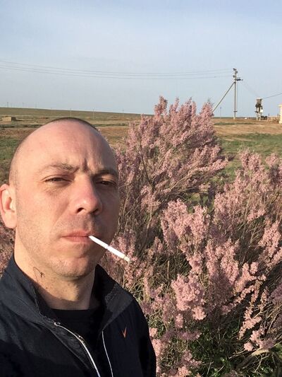  ,   , 38 ,  