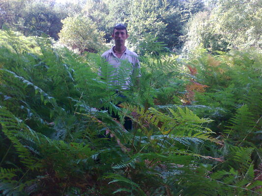  ,   Yurij, 44 ,     , c 
