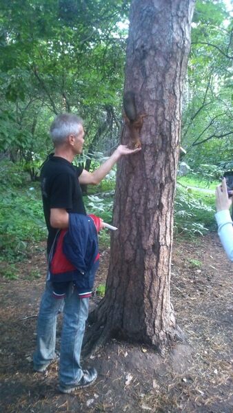  ,   , 59 ,   ,   , c 