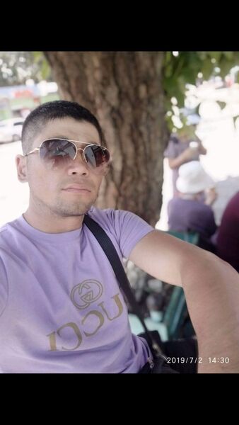  -,   , 33 ,   ,   