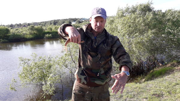  ,   , 55 ,   ,   