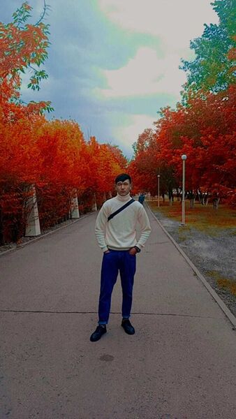  ,   Shadiar, 24 ,   ,   