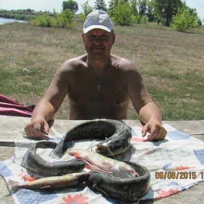  ,   , 61 ,     , c 