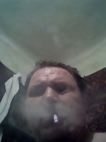  -,   , 41 ,  