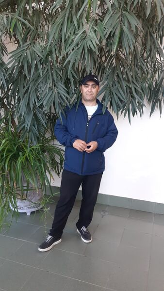  ,   , 43 ,   ,   