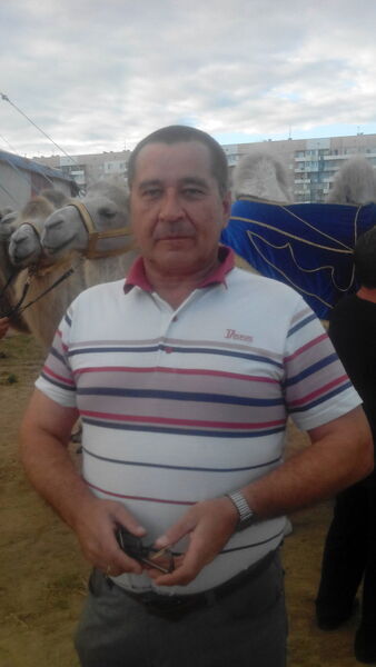  ,   , 53 ,  