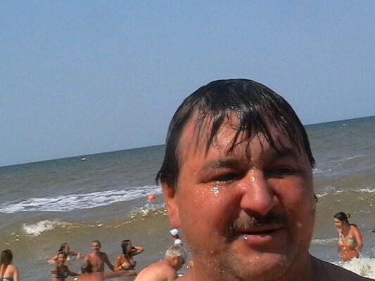  ,   , 53 ,   ,   