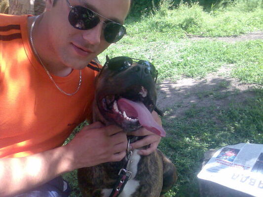  ,   , 38 ,   ,   , c , 