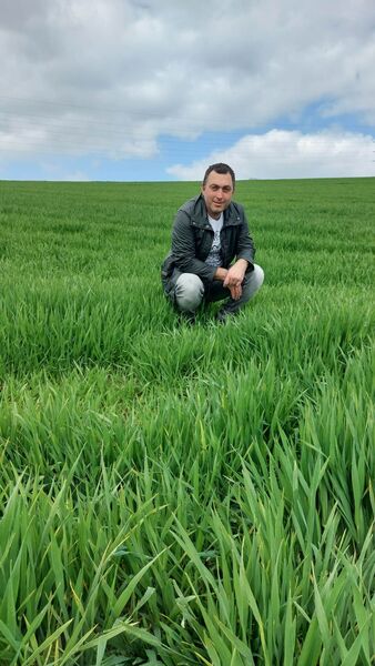  ,   Vitali, 36 ,   ,   