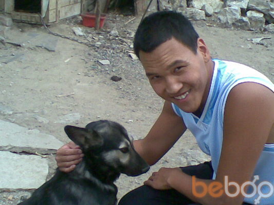 ���������� ������, ���� ������� �����, 33 ����, ������������ ��� ������, ����� � ���������, c�������� ���������