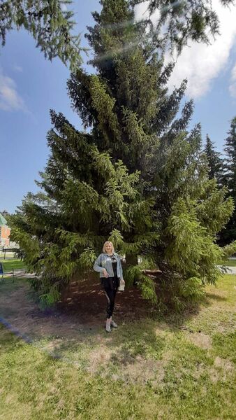  -,   , 41 ,   ,   , c , 