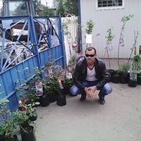  ,   , 43 ,     , c 