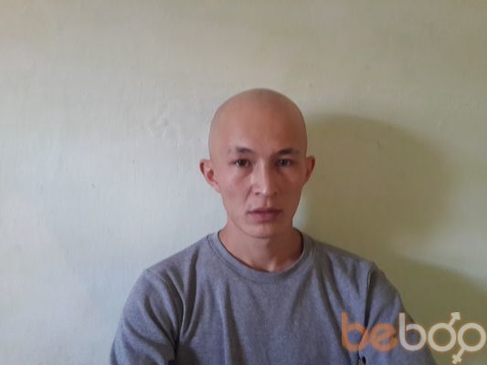  3612667  , 36 ,    -